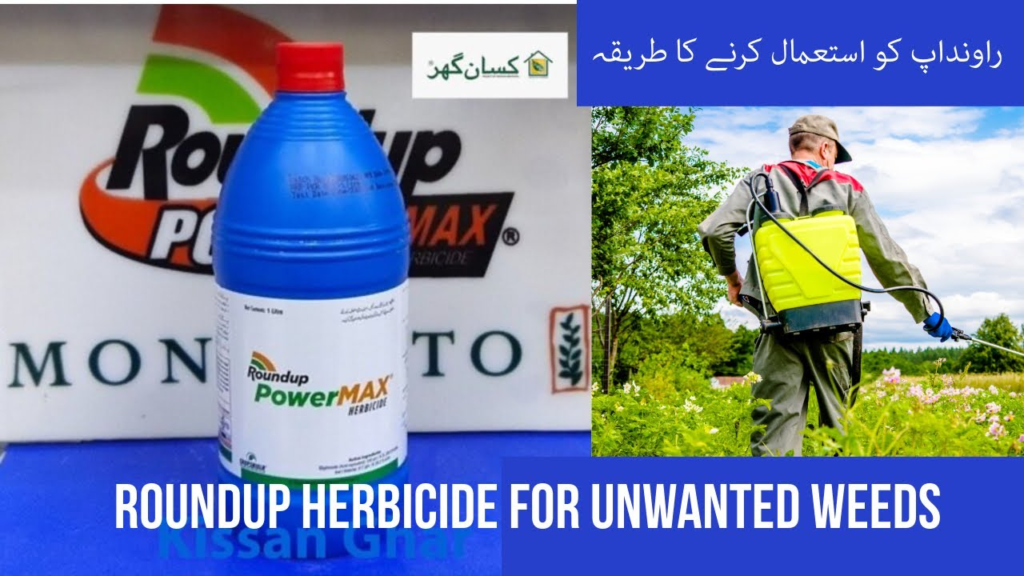 roundup