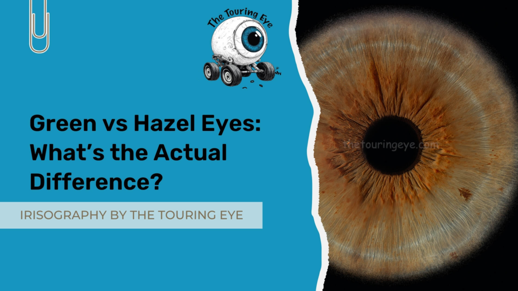 hazel eyes