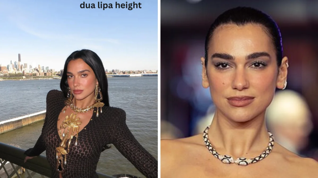 dua lipa height